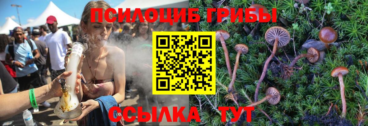 Галлюциногенные грибы Magic Shrooms  Вход с VPN  сколько стоит  Алушта 